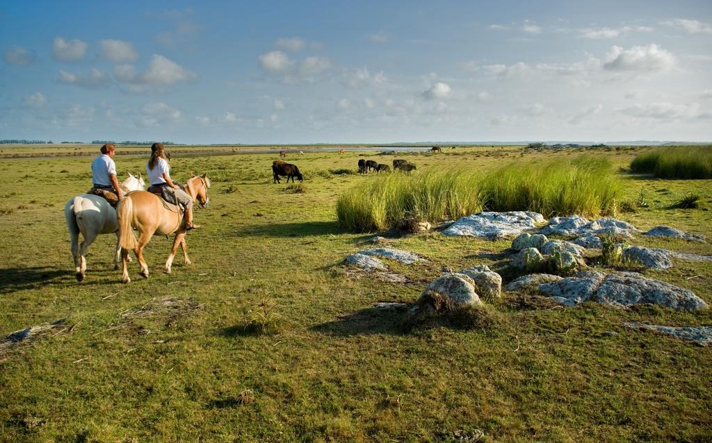 Estancia Vik Jose Ignacio Exterior photo